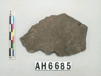 藏品(黑色夾砂陶片)的圖片